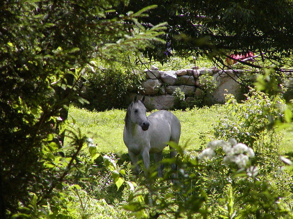 Arabian Horse Inn Sudbury ภายนอก รูปภาพ
